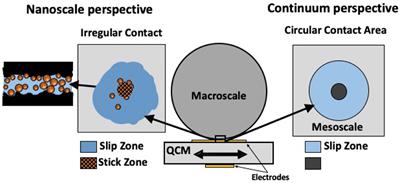 Continuum Model Analysis of QCM Nanotribological Data to Obtain Friction Coefficients for 304SS Contacts Lubricated by Water and TiO2 Nanoparticle Suspensions